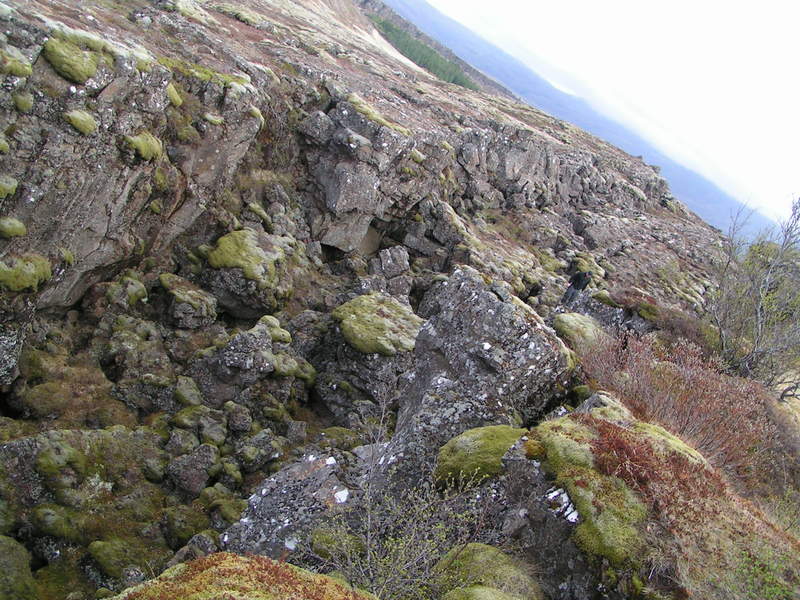 Lavaspalten in Þingvellir
