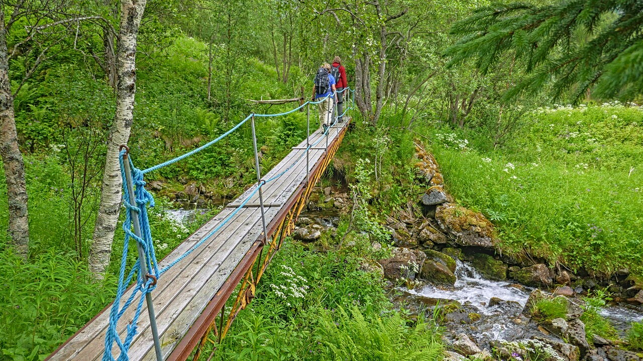 Brücke am Gammelgården