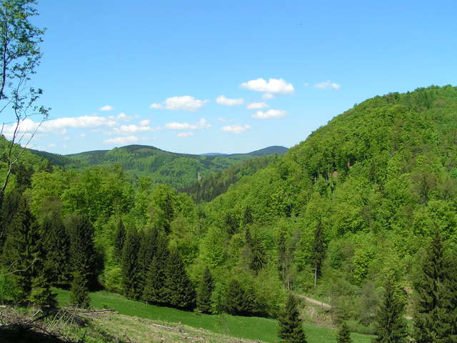 Elsbachtal bei Zorge