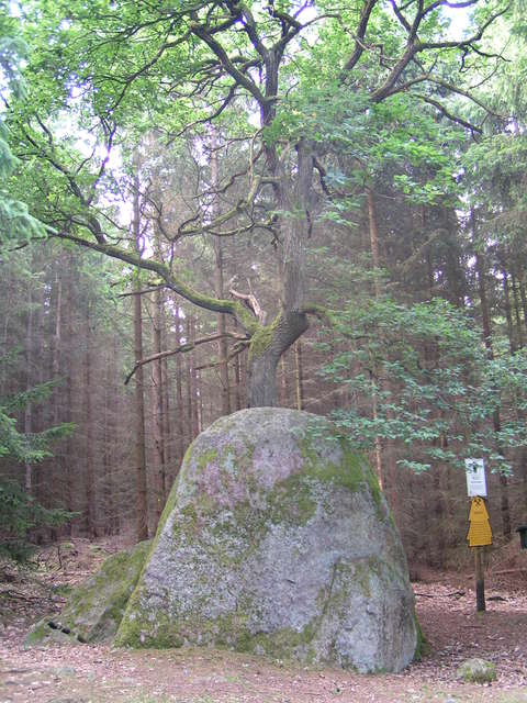 Glockenstein bei Stecklenberg